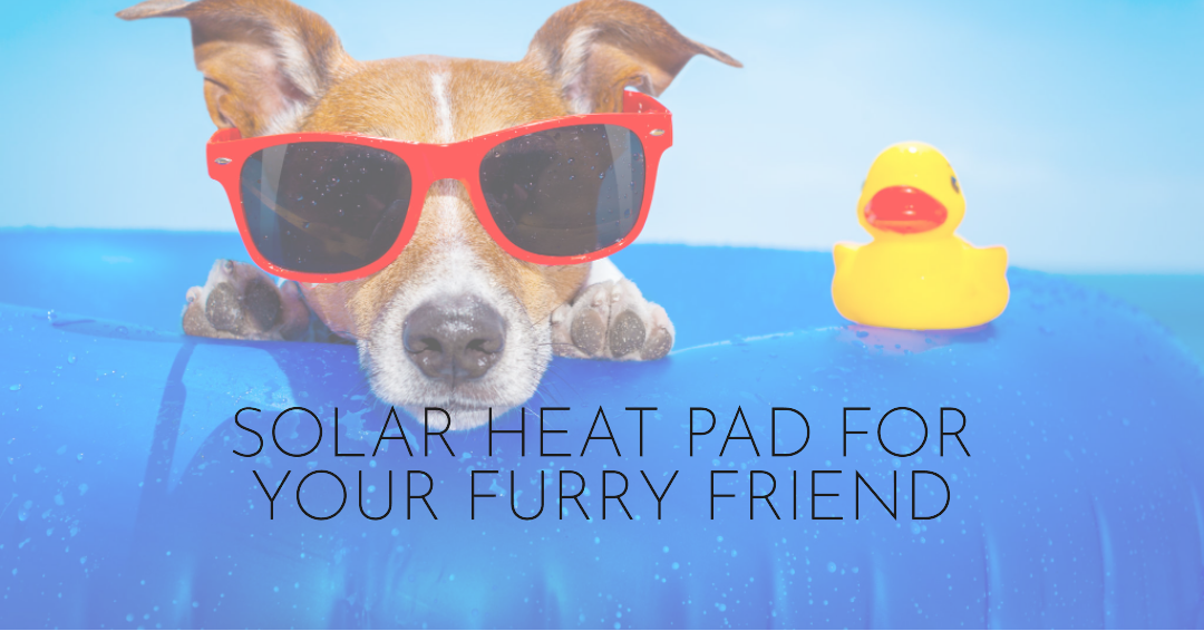 Why Solar Heat Pad for Pets Is the Latest Trend & How to Get One