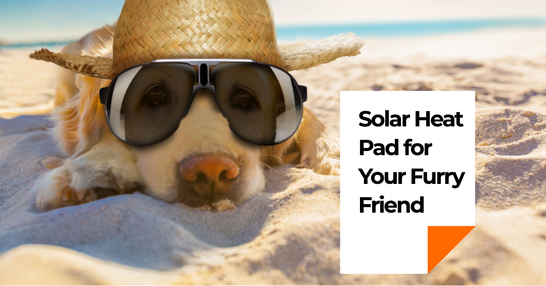 Why Solar Heat Pad for Pets Is the Latest Trend & How to Get One Global Sources